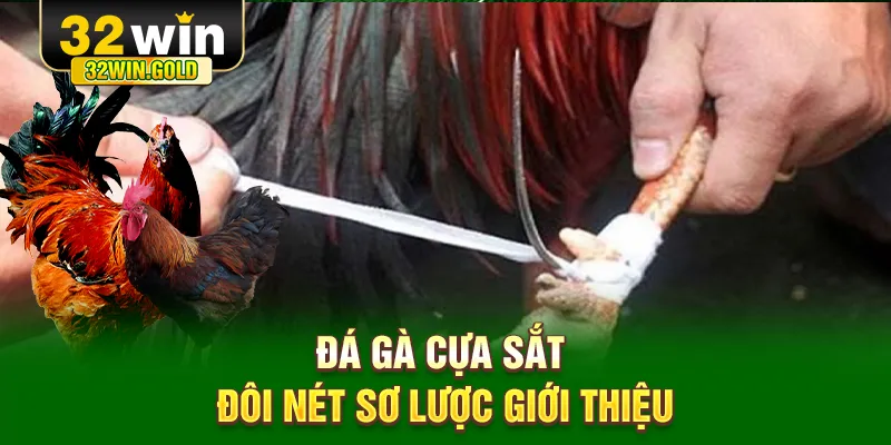 Đá gà cựa sắt đôi nét sơ lược giới thiệu