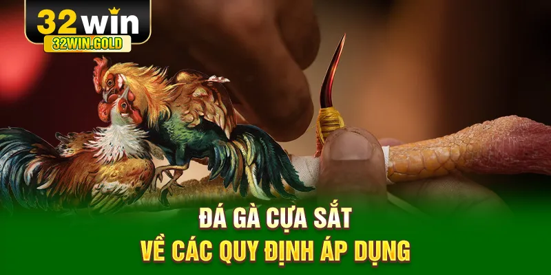 Đá gà cựa sắt về các quy định áp dụng