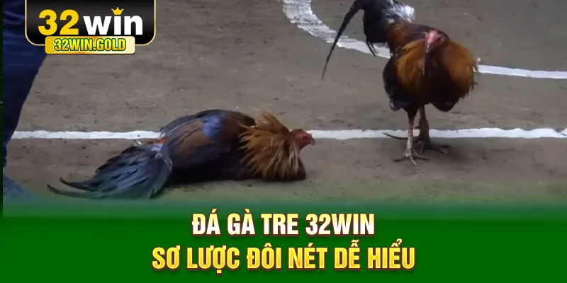 Đá gà tre 32WIN sơ lược đôi nét dễ hiểu